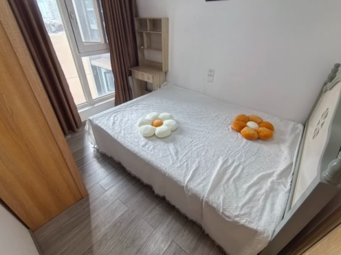 合租·普得先锋国际 4居室 南卧