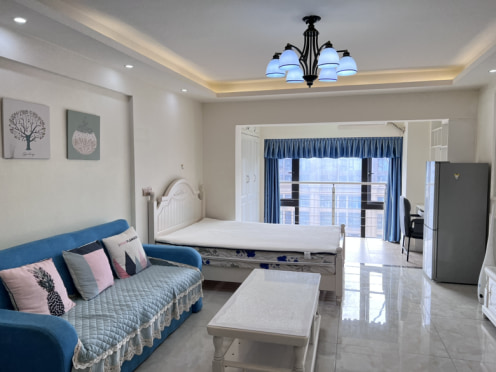 独栋·成都You佳公寓 保利心语四期店 高新区 电梯房 软件园 腾讯大厦 环球中心 1室1厅