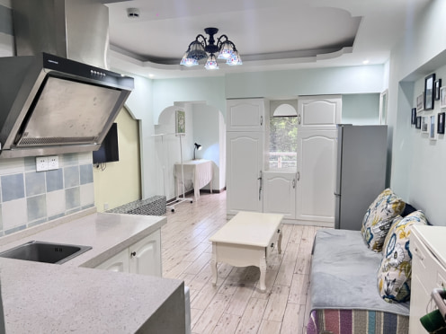 独栋·成都You佳公寓 保利心语四期店 天府三街套一 0中介 地铁口 1室1厅