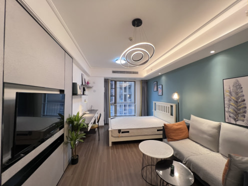 独栋·成都You佳公寓 保利星荟店 0中介 5号线大源民乐地铁口 软件园 腾讯大厦 1室1厅