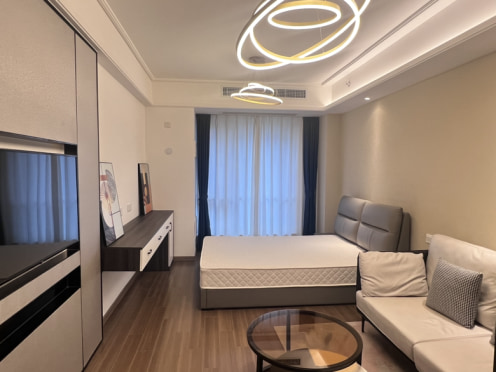 独栋·成都You佳公寓 保利星荟店 无中介 高新区天府四街 软件园 OCG 阿里巴巴 1室1厅