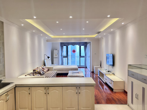 独栋·成都You佳公寓 保利心语四期店 住家装修70平大套一 天府三街 大源地铁口 环球中心 1室1厅