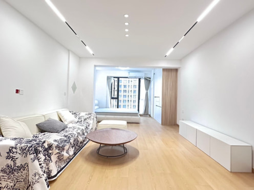 独栋·栖梧桐公寓 保利星座店 世豪广场世纪城天府三街五街四街大源套一 1室1厅