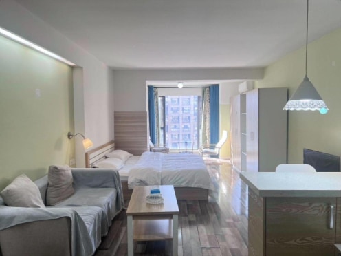 独栋·栖梧桐公寓 保利星座店 押一付一 高新区 金融城 阿里中心 保利星座 电梯房 地铁口 1室1厅