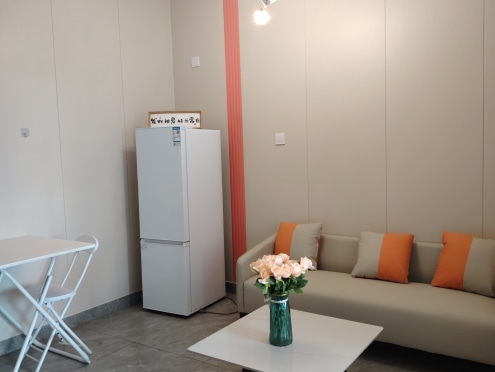 独栋·品牌·公寓 海豚公馆 明厨明卫带天然气一室一厅 1室1厅