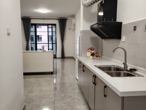 独栋·品牌·公寓 海豚公馆 电梯房有停车位朝南带阳台精装拎包入住环境优美 1室1厅