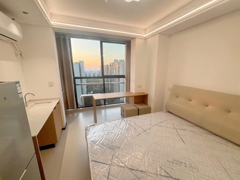 独栋·品牌·公寓 涌鑫东城广场 通透视野好 精装一室 1室1厅