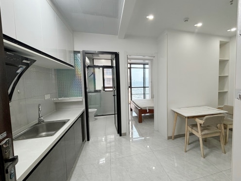 独栋·品牌·公寓 涌鑫东城广场 带客厅 精品一室 1室1厅