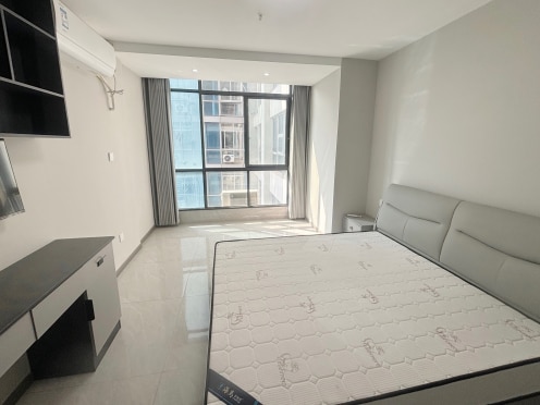 独栋·品牌·公寓 涌鑫东城广场 精装特价一室带阳台 1室1厅