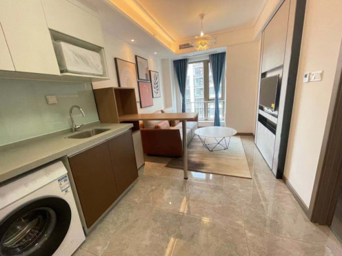 独栋·品尚爱家 保利星荟店 大源保利星荟标准套一出租   紧邻五号线地铁口 民用水电 1室1厅