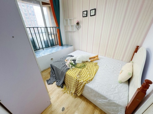 合租·南湖左岸 4居室 南卧