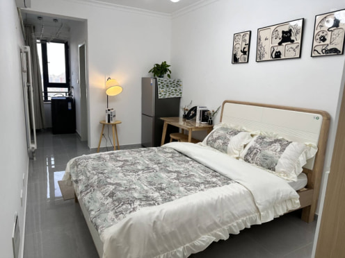 独栋·纵横寓 关虎屯新天地店 精装一居室 实图实价 可短租 可月付 无中介 楼下二号线 开间