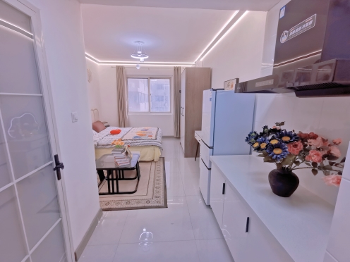 独栋·纵横寓 好莱坞店 财富广场 省汇中心 苏荷中心 熙地港 温馨一室 开间