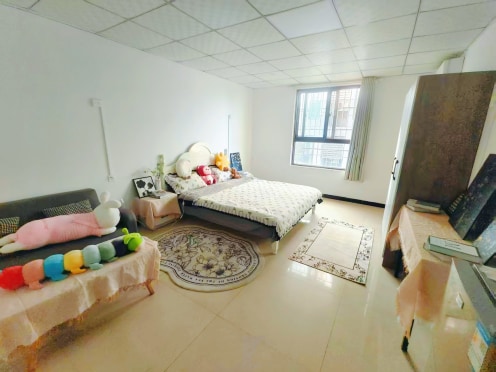 独栋·纵横寓 豫见聂庄店 【可月租 可月付】实习进修租房必看 整租公寓  出行便利 开间