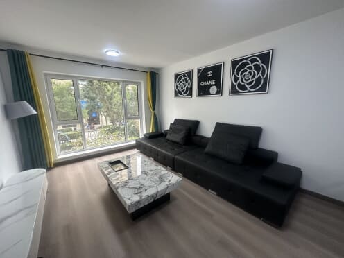 独栋·佑城地产 保利达大象公寓 浑南樾檀山 精装2室一厅 可养宠物 拎包入住 2室1厅