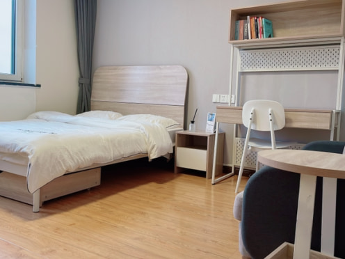 独栋·大象公寓 彩云城店 开发区青年公寓  毕业生专属福利 开间