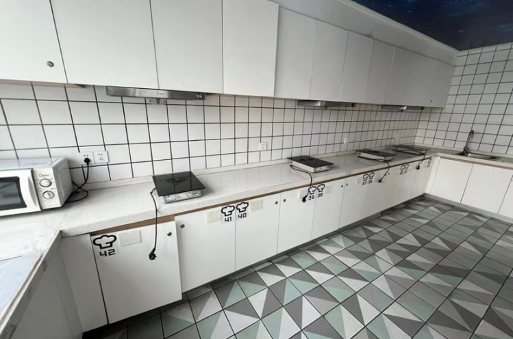 猫咪友好房型*loft一居室*无中介费*押一付一*烟大山商*观海大厦悦海大厦