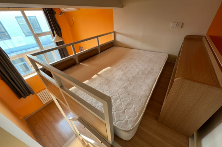 猫咪友好房型*loft一居室*无中介费*押一付一*烟大山商*观海大厦悦海大厦