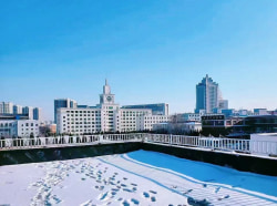 莱山公寓直营*无中介费*押一付一*一居室*特北向大榻榻米*可月租月付*莱山永旺迎春大街