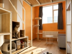 猫咪友好房型*loft一居室*无中介费*押一付一*烟大山商*观海大厦悦海大厦