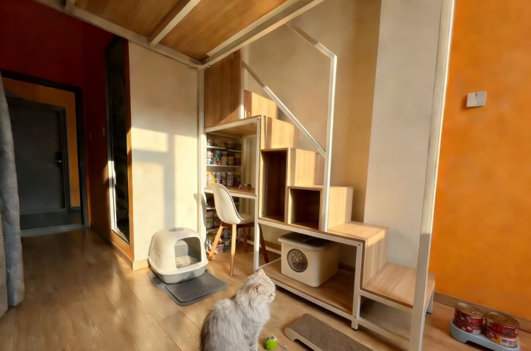 猫咪友好房型*loft一居室*无中介费*押一付一*烟大山商*观海大厦悦海大厦