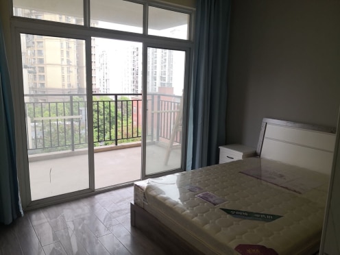 独栋·千墅美屋 顺江锦苑 武侯区 大悦城附近整租套三 3室1厅