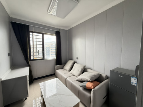 独栋·卓信公寓 门第二期 一室一厅 泰禾广场 浔埔村 精装修 1室1厅