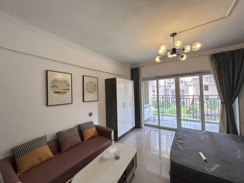 独栋·卓信公寓 浦西花园 超大阳台 包物业 押一付一 1室1厅