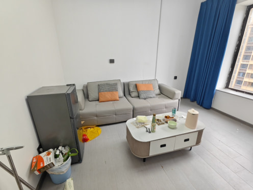 独栋·卓信公寓 依云轩 南北通透一室一厅 包物业 民用水电 1室1厅