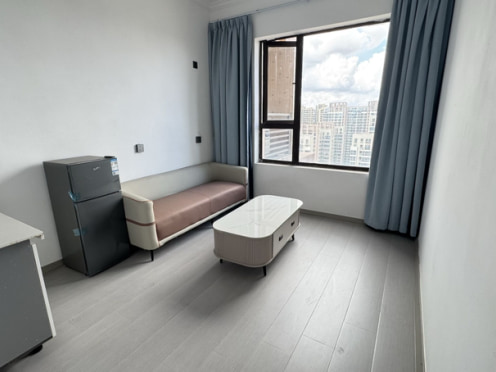 独栋·卓信公寓 力高郡逸府 温馨一室一厅 民用水电费 包物业费 1室1厅