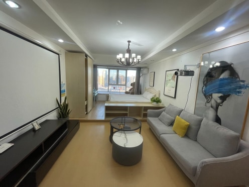 独栋·CBD公寓 万象城-山东路店 山东路-曼哈顿广场-CBD一居室带暖气 1室1厅