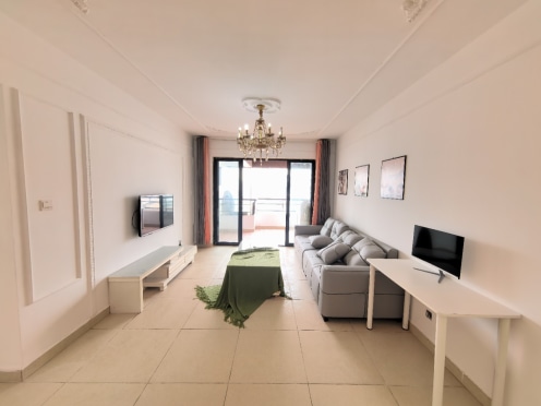 独栋·天添公寓 碧蔓汀 0中介费，梁家巷地铁口，电梯住宅精装套二，可短租可月付 2室1厅