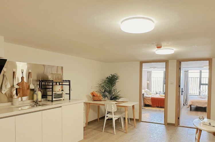 【限时秒杀  下楼即地铁】一年起租  近晓东村地铁口豪华舒适大两房无中介费 押一付一