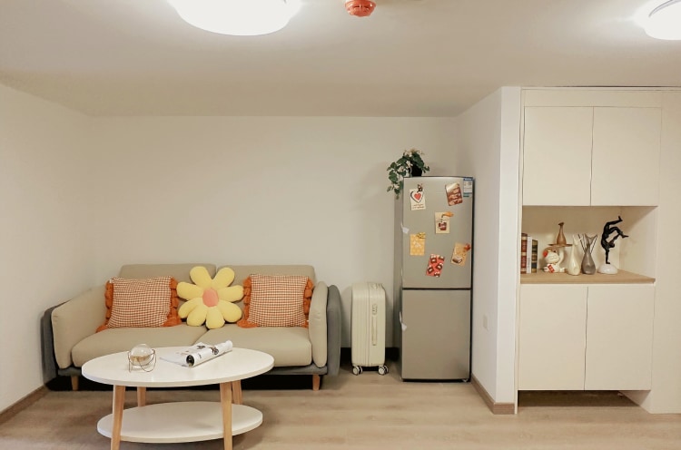 【限时秒杀  下楼即地铁】一年起租  近晓东村地铁口豪华舒适大两房无中介费 押一付一