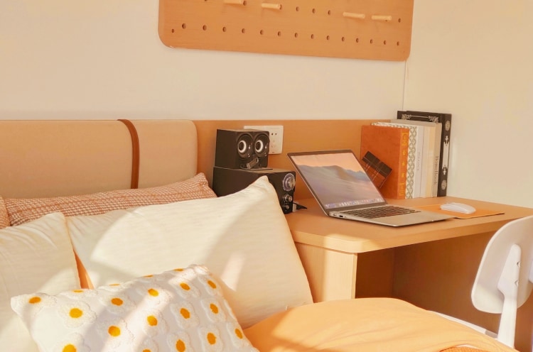 【限时秒杀  下楼即地铁】一年起租  近晓东村地铁口豪华舒适大两房无中介费 押一付一