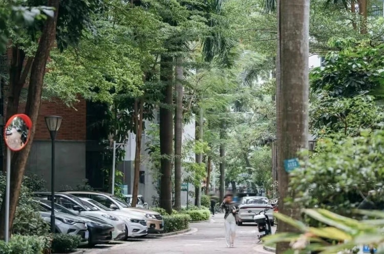 【半年起租】高层洋房 户型方正 通燃气