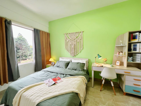 独栋·东莞v+公寓 东城万达店 近东城万达 天宝地铁口，家电齐全 可短租，采光好带阳台一房一厅 1室1厅