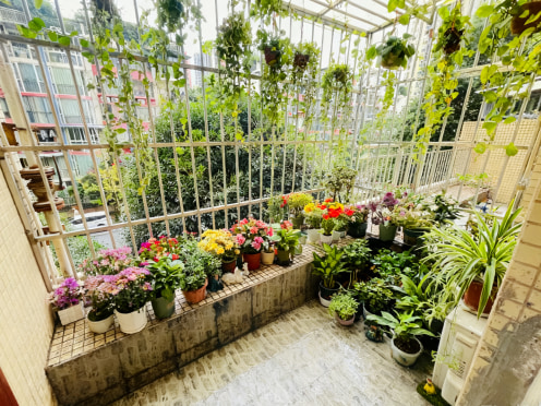 合租·合能耀之城 3居室