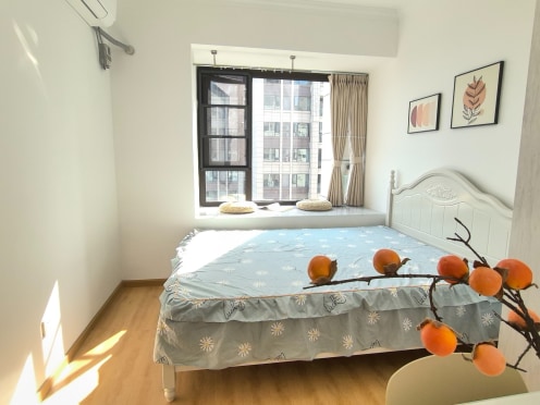 合租·金沙湖畔 4居室 东南卧