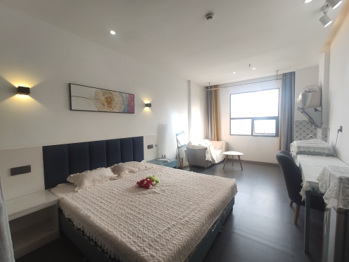 独栋·蜜租公寓 孺子路店 六眼井地铁附近经典舒适大开间 开间