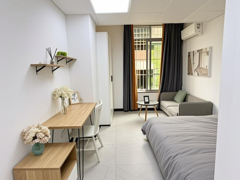 独栋·壹号智能公寓 万江 地铁1号线5折精品阳光大单间近人民医院万江华南摩尔 开间