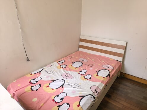 合租·大龙港新村 3居室 北卧