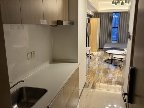 独栋·克拉薇公寓 龙子湖店 博雅精品落地窗户型，0中介费，可月租，楼下地铁口 1室1厅