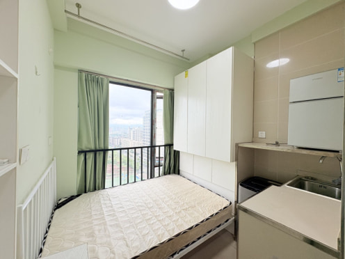 独栋·家仁乐寓 金科天宸十三街区店 微电园 独门独户 精装一居室 蹲便 可短租月付 押金500 开间