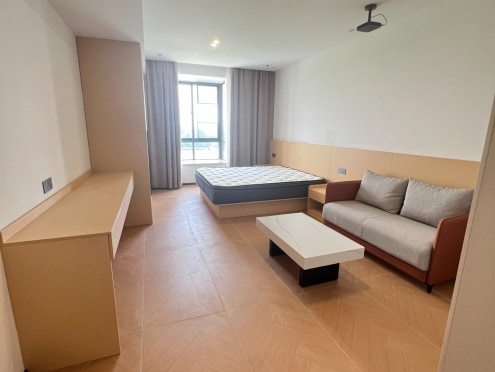 独栋·成都家寓 派单广场店 0中介费·可短租·月付不上浮·3号线成都医学院站·精致套一标间H房 1室1厅