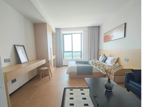 独栋·成都家寓 派单广场店 0中介费·可短租·月付不上浮·3号线成都医学院站·精致套一标间M房 1室1厅