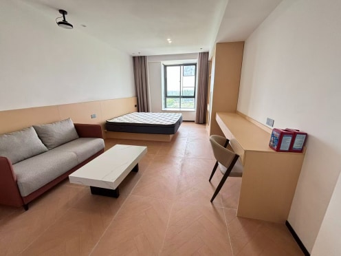 独栋·成都家寓 派单广场店 0中介费·可短租·月付不上浮·3号线成都医学院站·精致套一标间S房 1室1厅