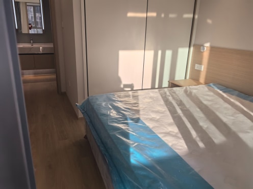 独栋·雅院 苏州雅院金融创新中心服务公寓 两房豪华公寓套房-拎包入住，24小时安保，含宽带物业费 2室1厅