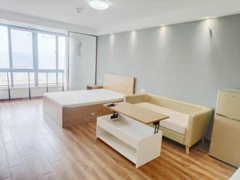 独栋·东南青年汇 同心店 十号线地铁口 精装修 拎包入住 可月付 1室1厅