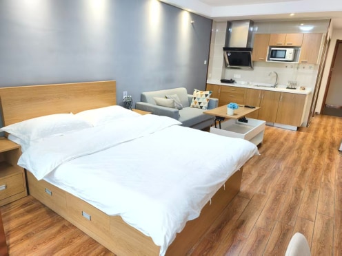 独栋·东南青年汇 同心店 直租公寓，精装全配 1室1厅